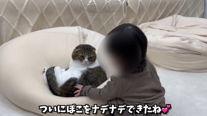 猫をなでる女の子