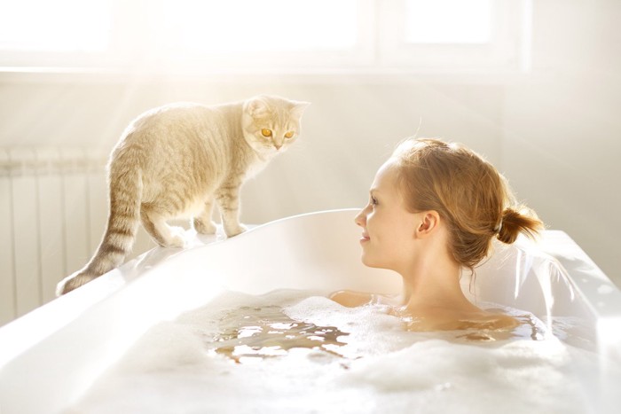 入浴中の飼い主と猫