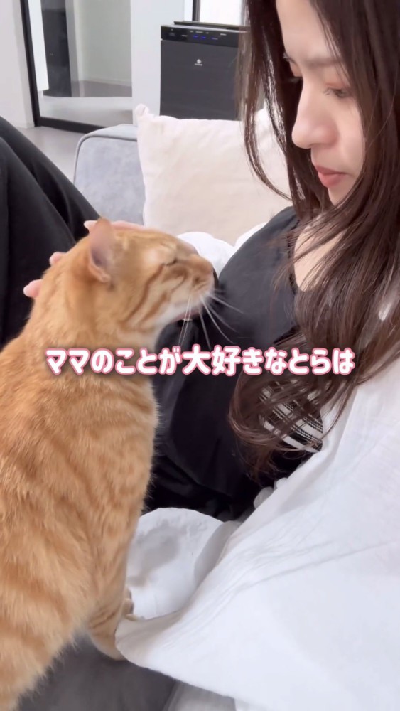 甘える猫