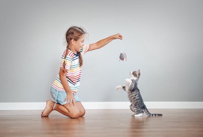 おもちゃで遊ぶ子供と猫