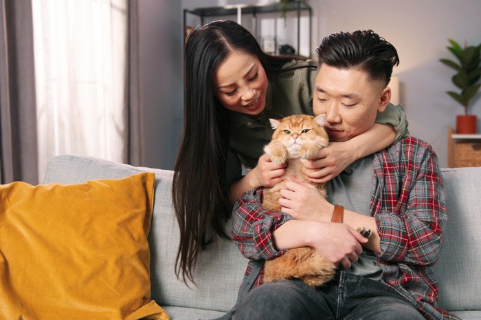 アジア人夫婦と猫