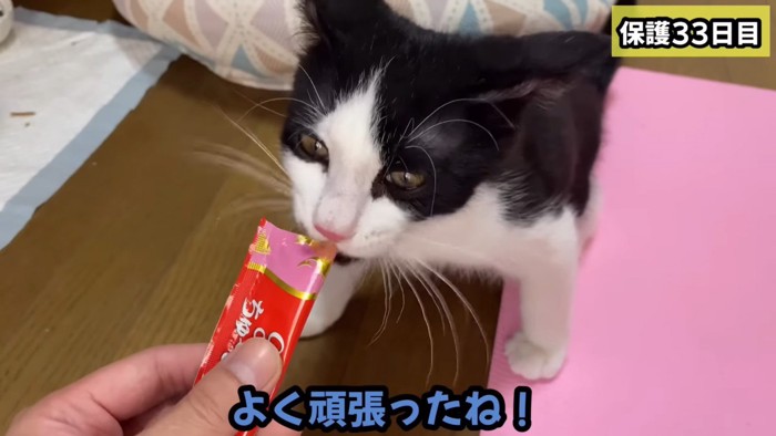 頑張ったご褒美です!