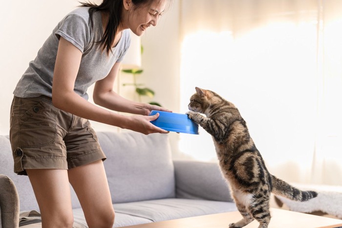 食器を持った人と立つ猫