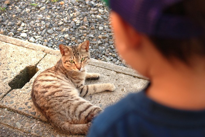 猫と目が合う瞬間