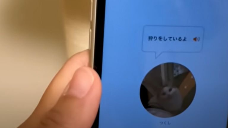 スマホの画面