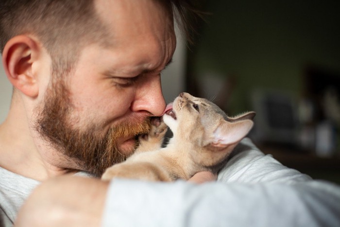 男性の鼻を舐める猫