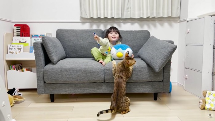 ソファに座る女の子とソファに手を置く猫