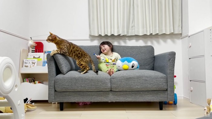ソファの上に乗る猫と女の子