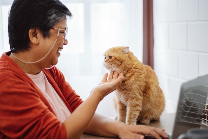 笑顔の女性と猫