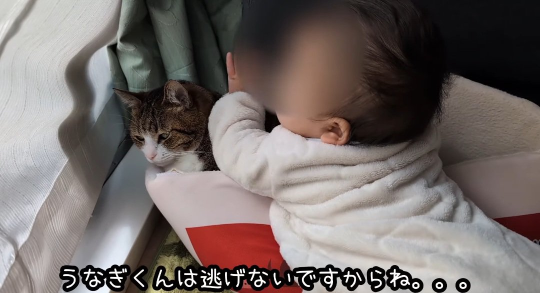 赤ちゃんと猫