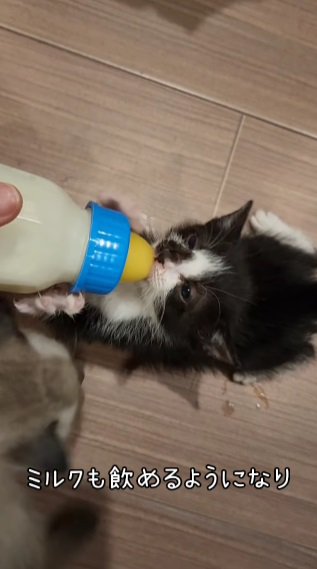 ミルク飲むたっ君