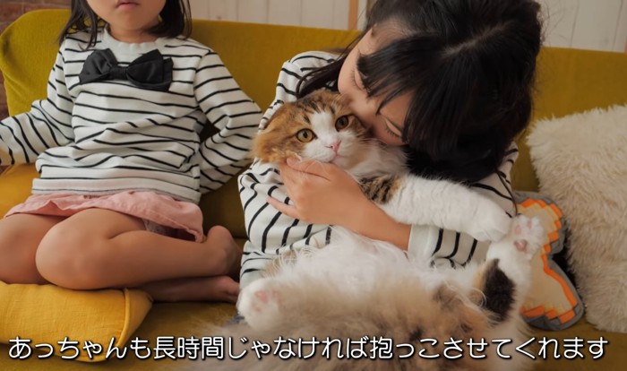 女の子に抱きしめられている猫