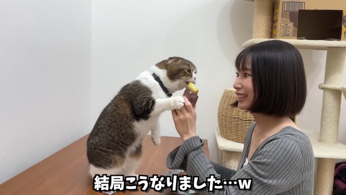 立って焼き芋を食べる猫