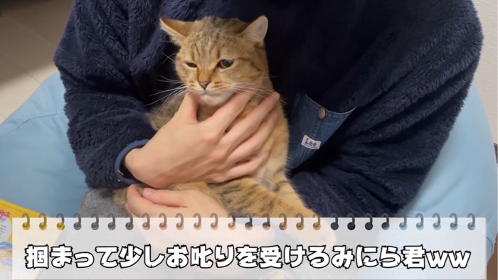 抱っこされる猫