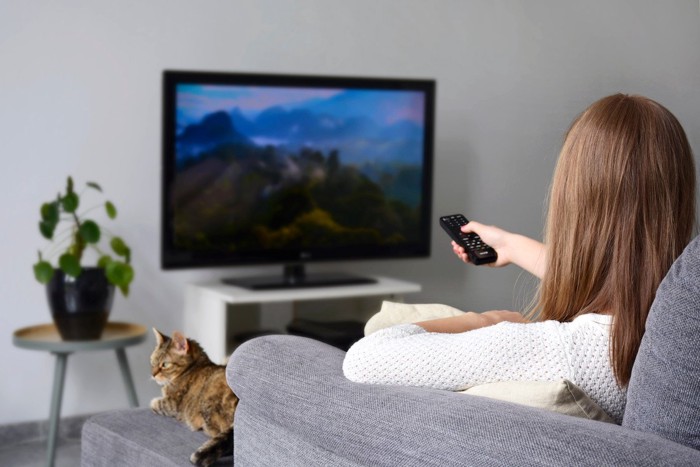 テレビを観る女性と猫