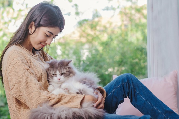 女性に抱っこされて目をそらす猫