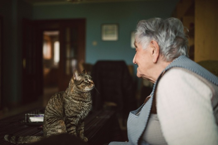 高齢の女性と嬉しそうに見つめ合う猫