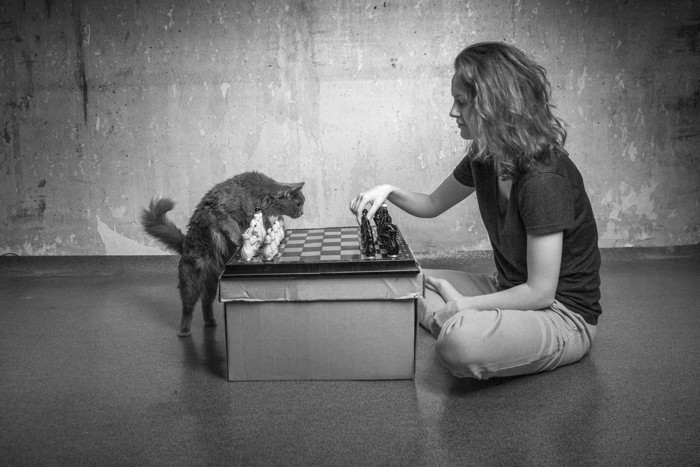 殺風景な小部屋で、猫とチェスをする女性