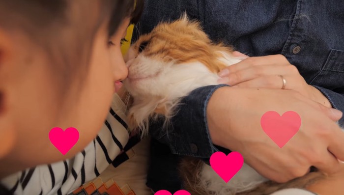 女の子にキスされている猫