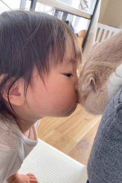 猫に鼻を押し付ける子供