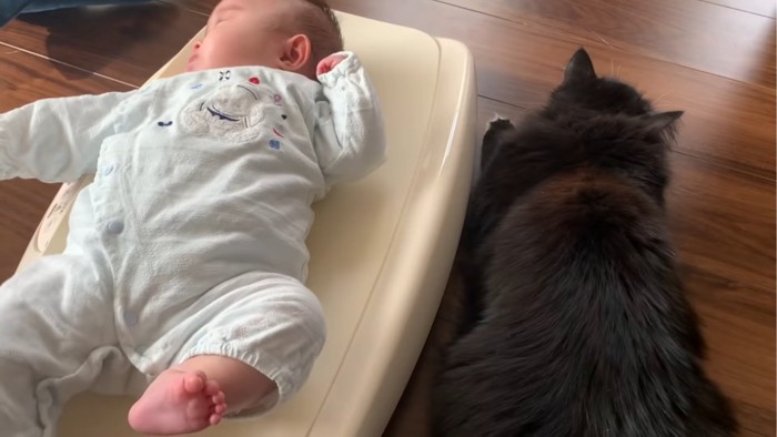 赤ちゃんの横でくつろぐ猫