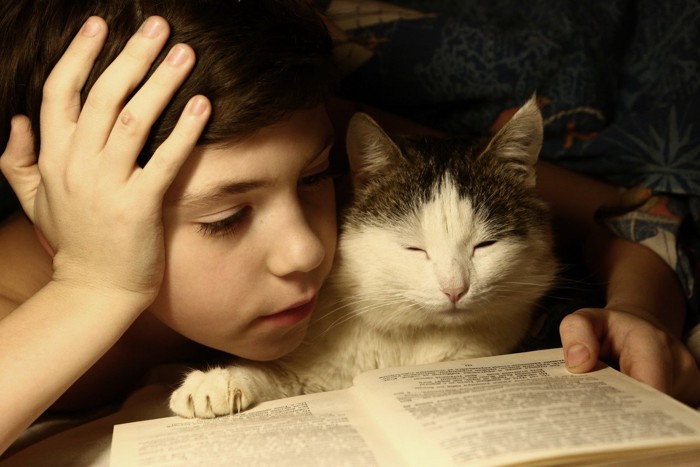顔を寄せて本を読む少年と猫