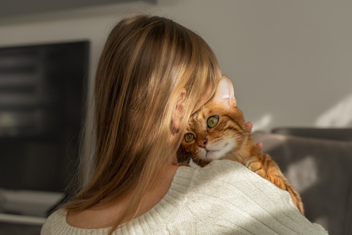 女性に甘える猫