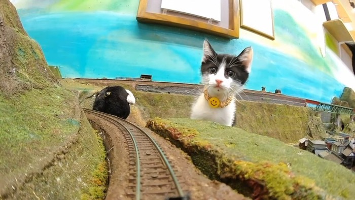 鉄道模型の間から顔を覗かせる子猫