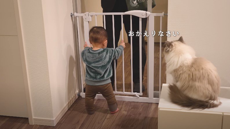 ドアの前の赤ちゃんと猫