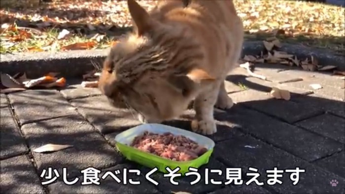 食べづらい