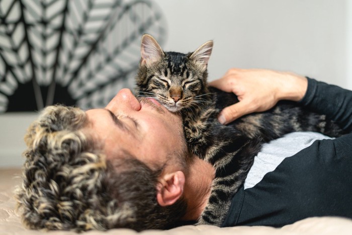 男性と気持ちよさそうに寝る猫