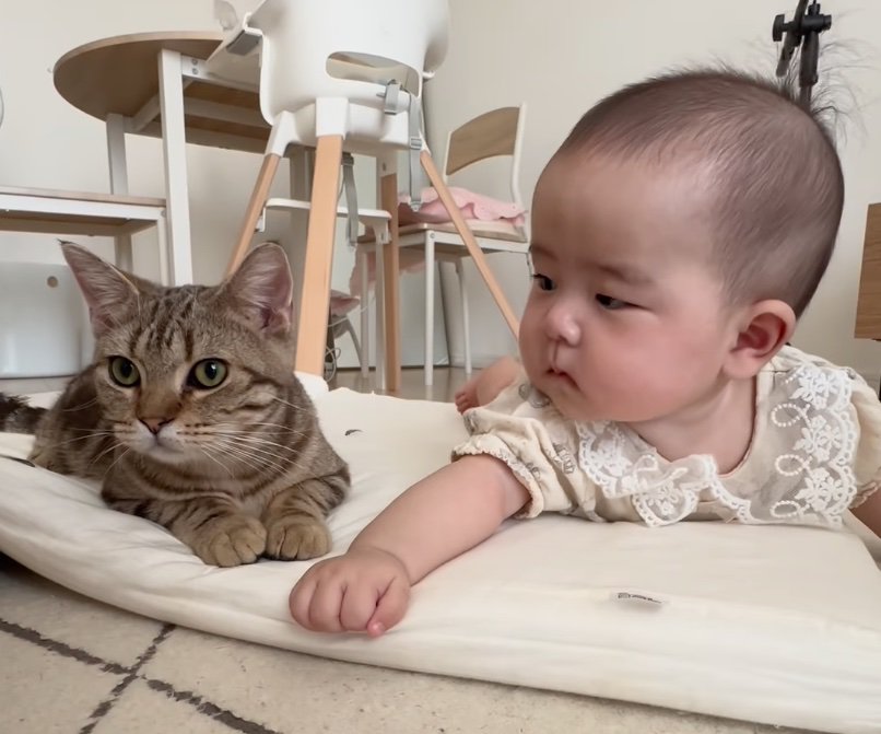 赤ちゃんに寄り添う子猫さん