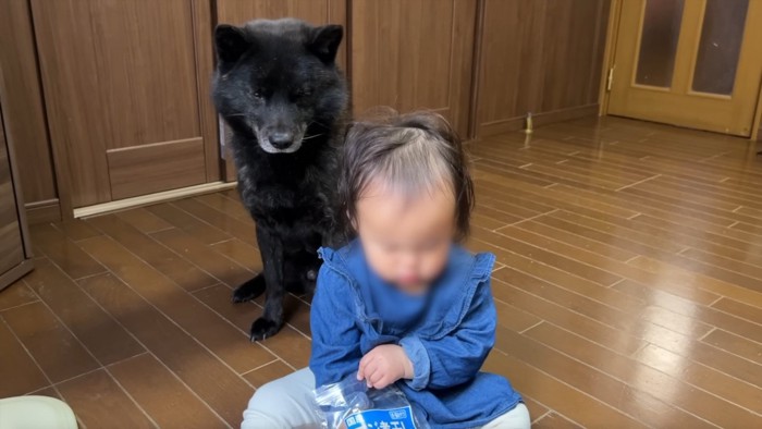 子供を背後から見る犬