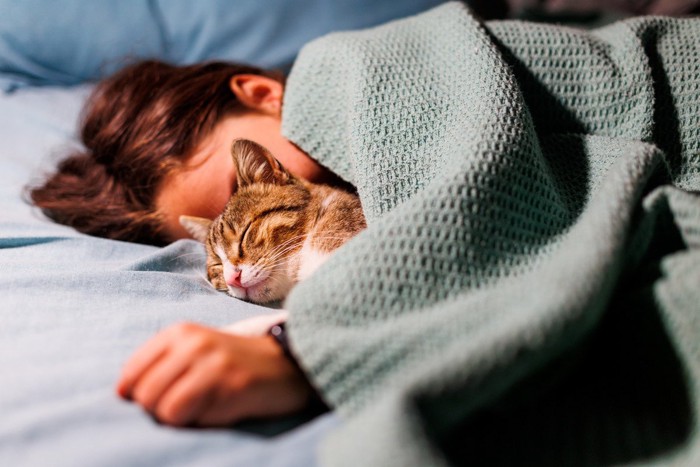 猫と添い寝する女性