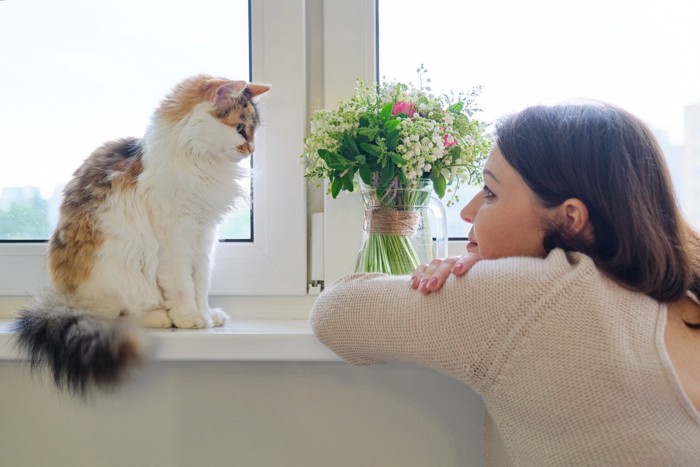 女性と向き合う窓際の猫