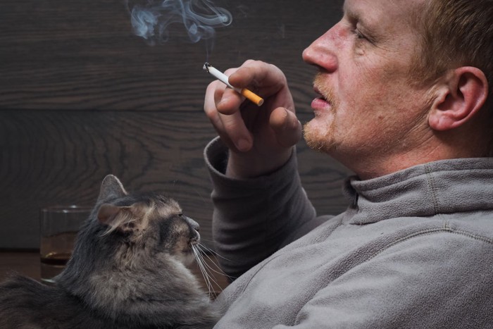 タバコを吸う男性と猫の画像