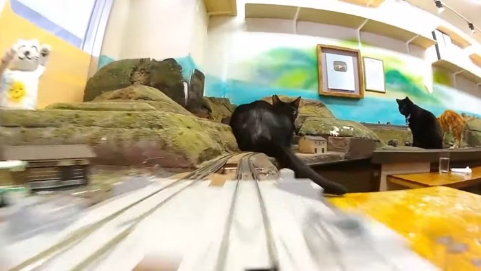 鉄道模型の線路の先の黒猫2匹