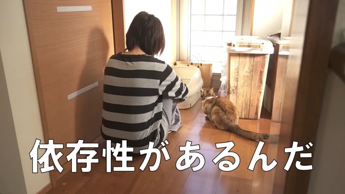 依存症を告白する飼い主さん