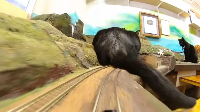鉄道模型の線路の上の黒猫