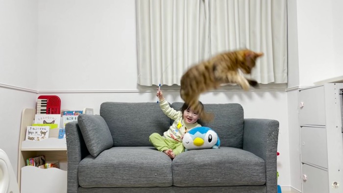 ジャンプをする猫