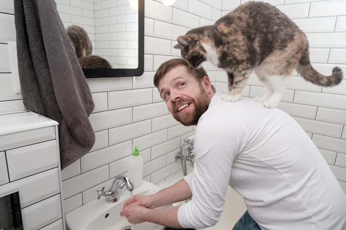 手を洗う飼い主に乗っかる猫