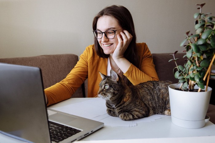 若い女性のそばでパソコンを覗き込む猫