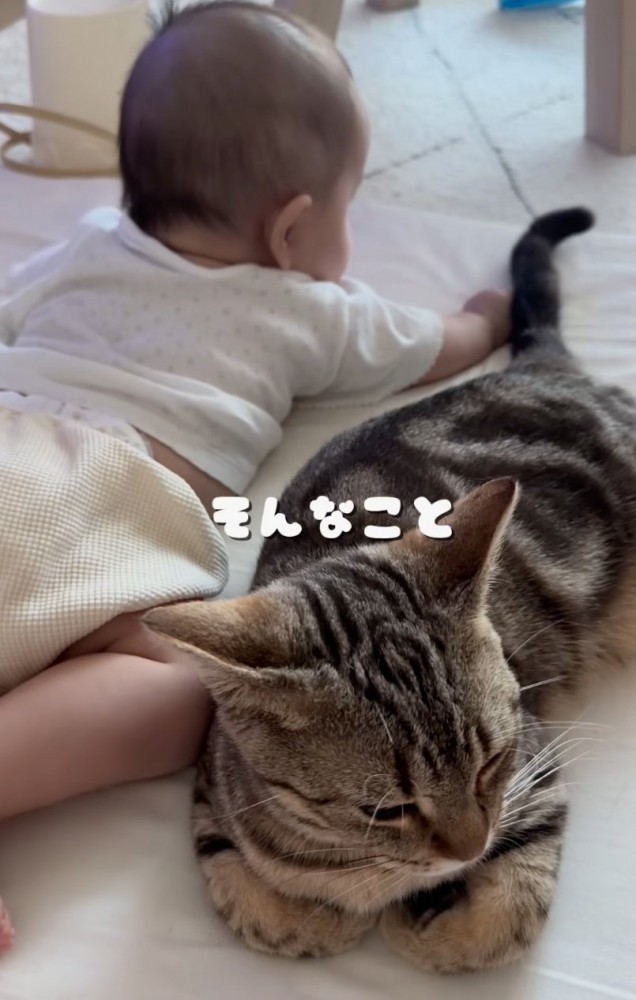 隣に寝そべる子猫さんと赤ちゃん