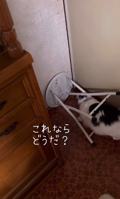 これならどうだ？