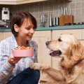 犬が何でも食べてしまう病気「異食症」に要注意！