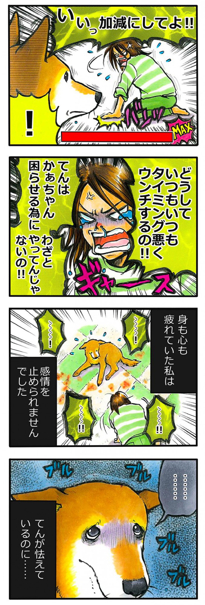 てんてこ、てん。【第66話】2