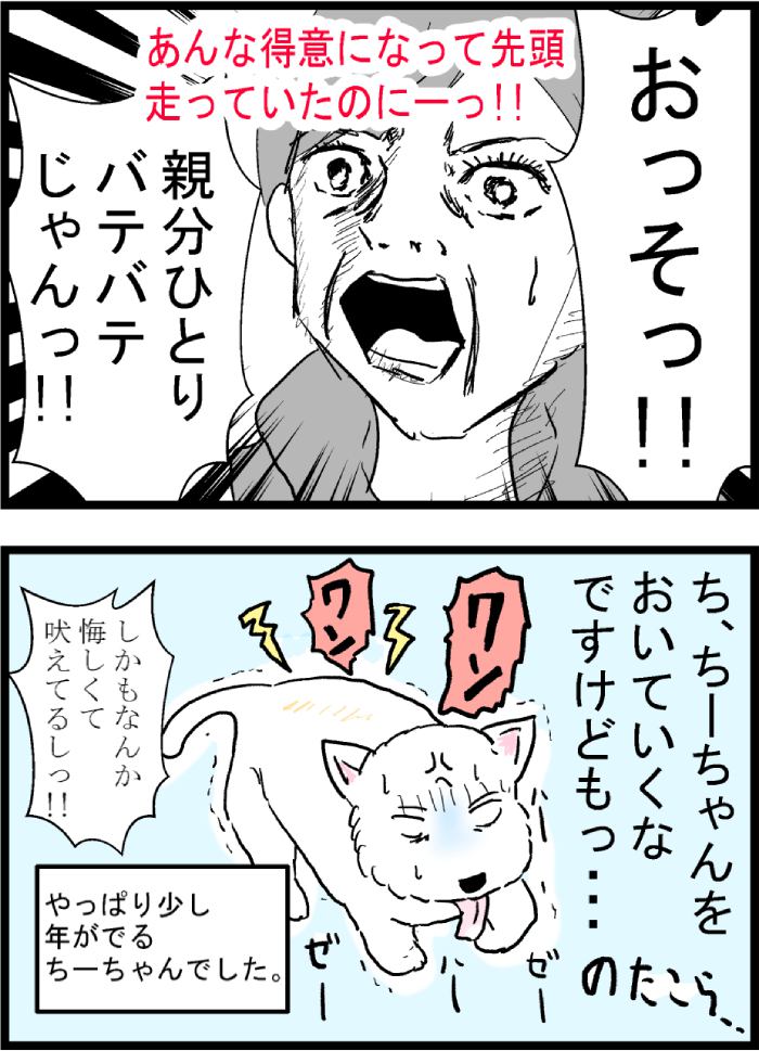 ちーちゃんですけどもっ第78話3枚目