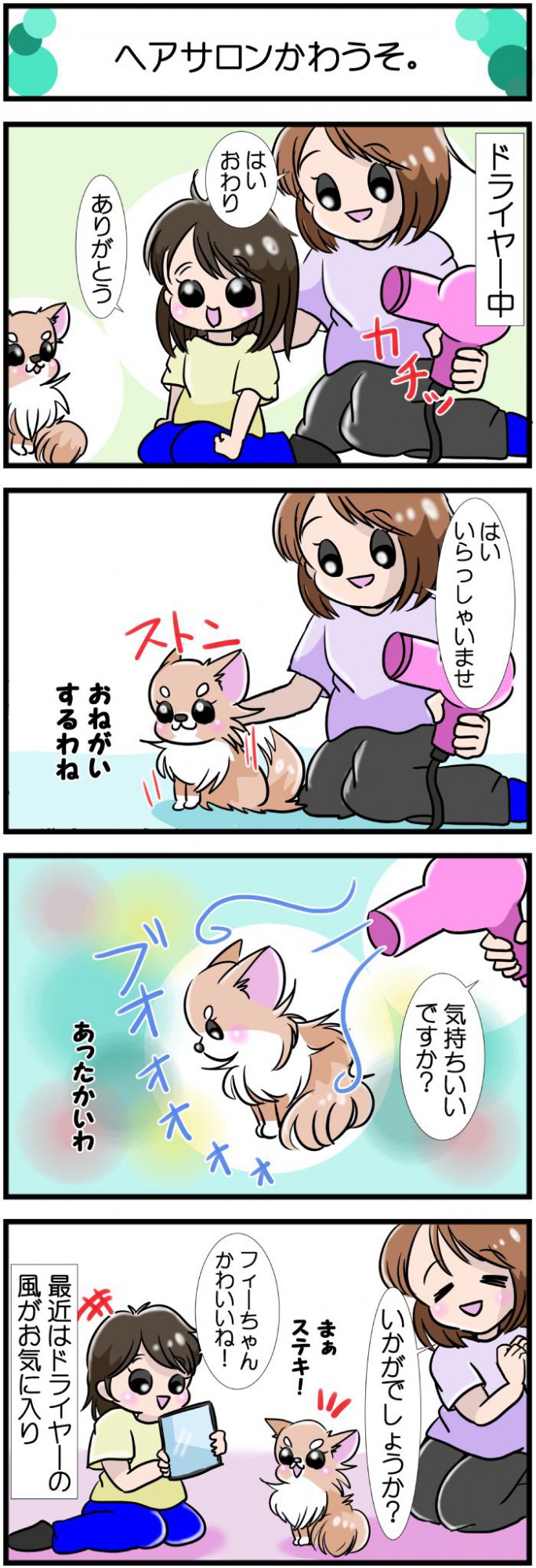 かわうそちわわ。【その509】