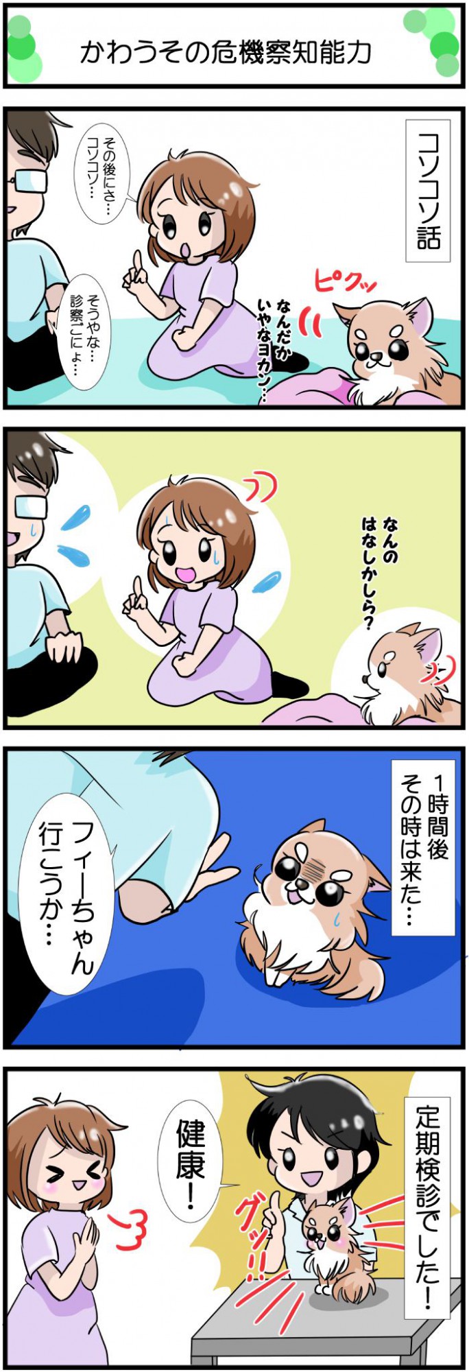 かわうそちわわ。【その472】