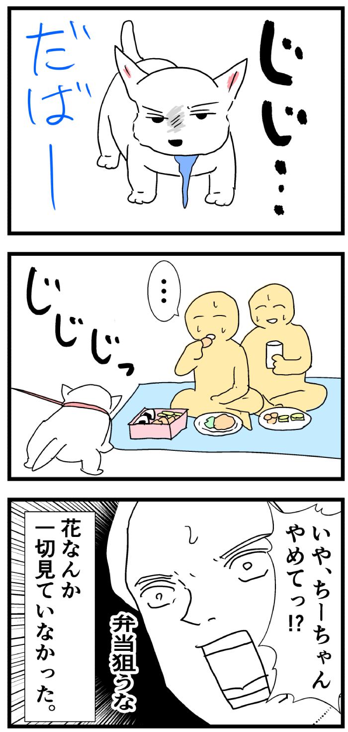 ちーちゃんですけどもっ【第197話】